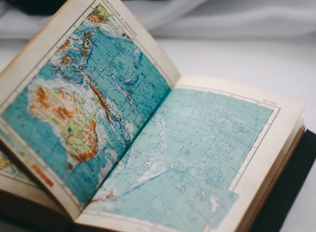 De wereld achter het blad